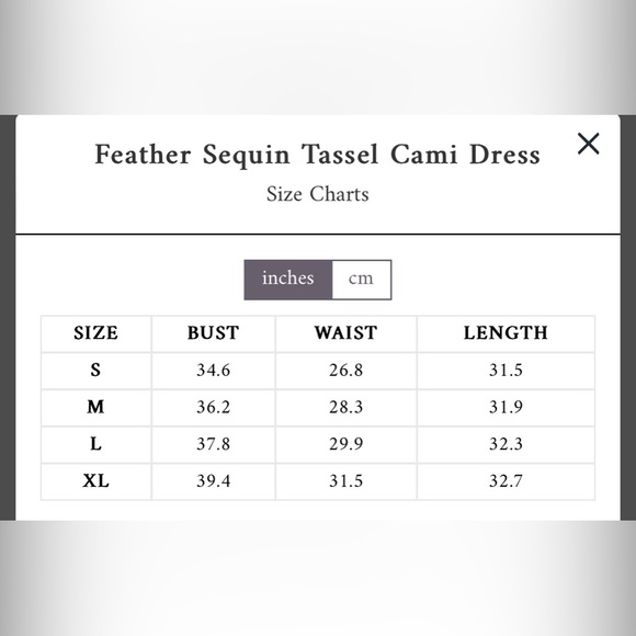 Elegant Gold Fringe Dress - Picture 4 of 4